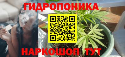 spice Кулебаки