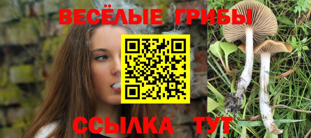 Радужный  Галлюциногенные грибы MAGIC MUSHROOMS  Вход с VPN 