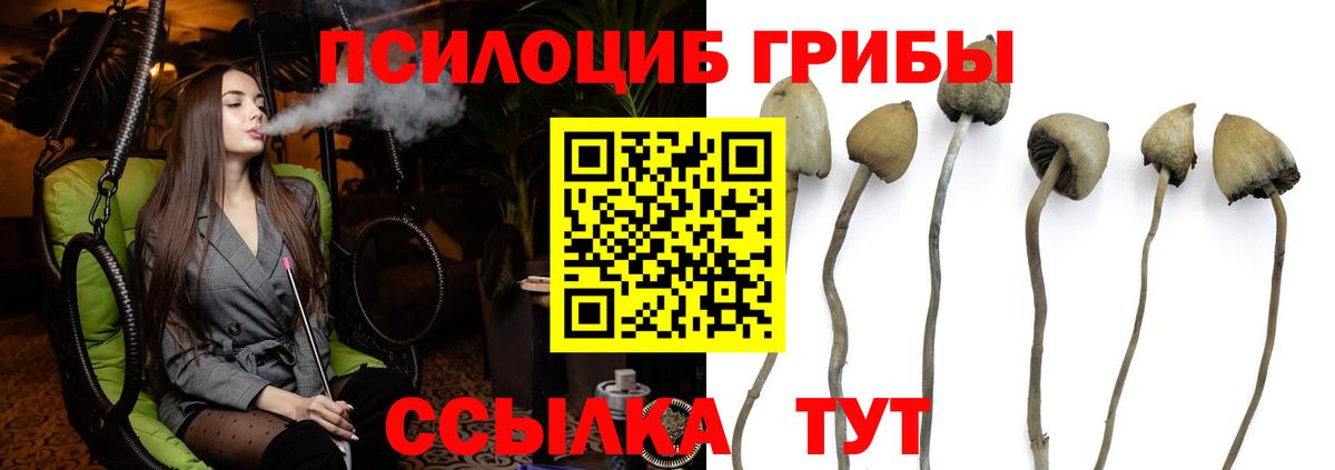 Псилоцибиновые грибы мицелий Радужный
